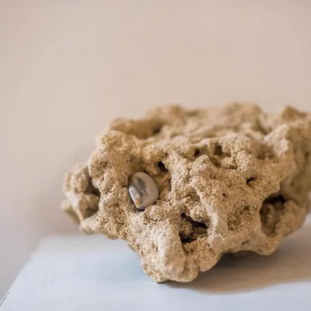 Appartamento Incantevole Banchi Di Sopra *